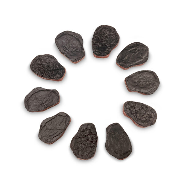 10 Repuestos de Úlcera por Presión