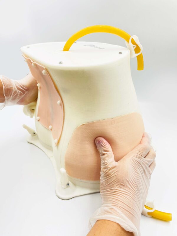 Simulador de Anestesia Neuroaxial