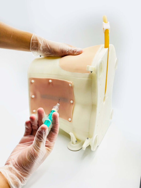 Simulador de Anestesia Neuroaxial