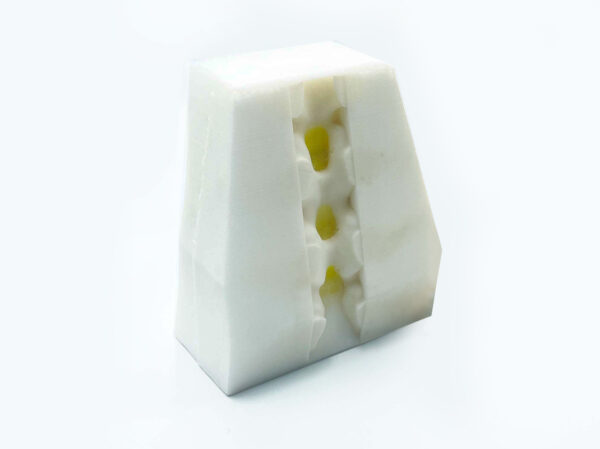 Simulador de Anestesia Neuroaxial