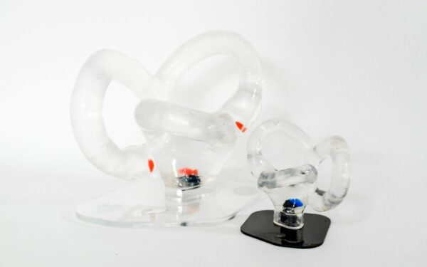 Pack CSC Modelo Grande + Modelo Pequeño