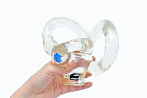 Modelo Canales Semicirculares Grande