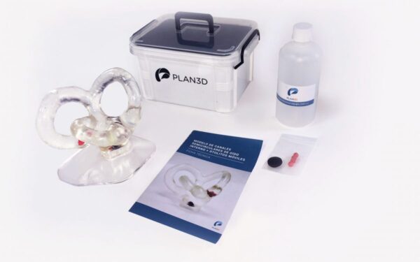 Modelo Canales Semicirculares Grande