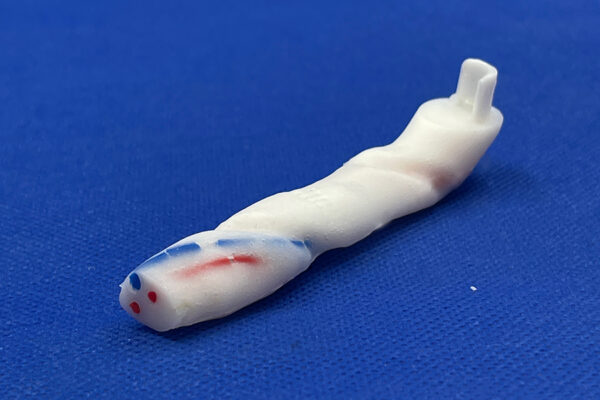 cordon-umbilical-01.jpeg Cordon Umbilical