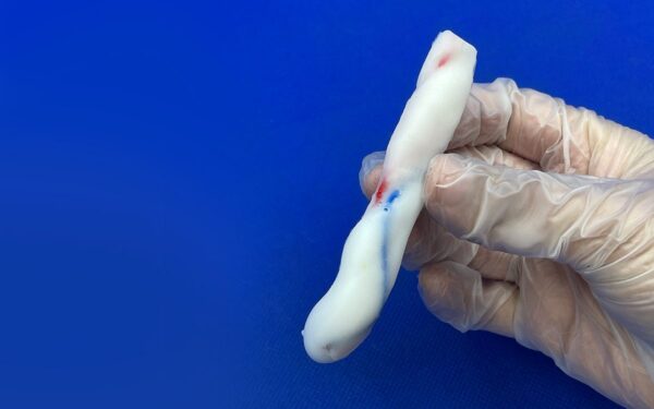 cordon-umbilical-04.jpeg Cordon Umbilical