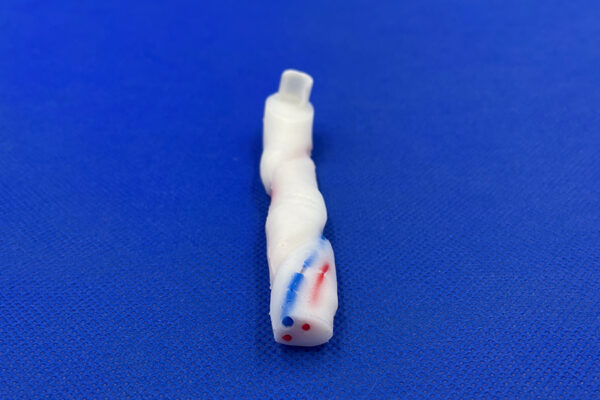 cordon-umbilical-08.jpeg Cordon Umbilical