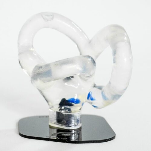 csc-chico-01.jpeg Canal Semicircular Pequeño Izquierdo (otolitos azules)