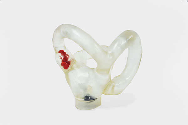 Modelo Canales Semicirculares Grande