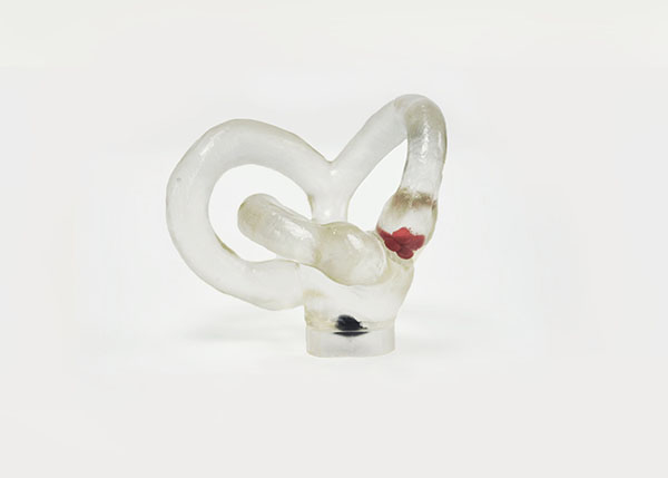 Modelo Canales Semicirculares Grande