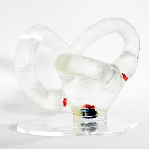 Modelo Canales Semicirculares Grande