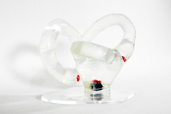 Modelo Canales Semicirculares Grande