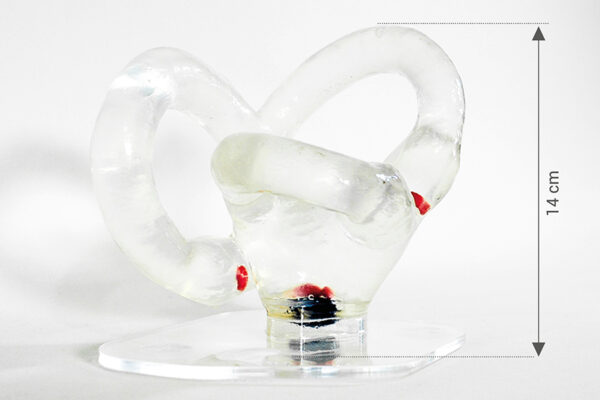 Modelo Canales Semicirculares Grande