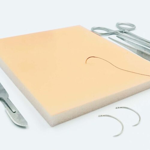 piel-basica-1-simulacion.jpg Piel básica para sutura