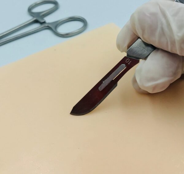 Kit de 6 pieles básicas para sutura