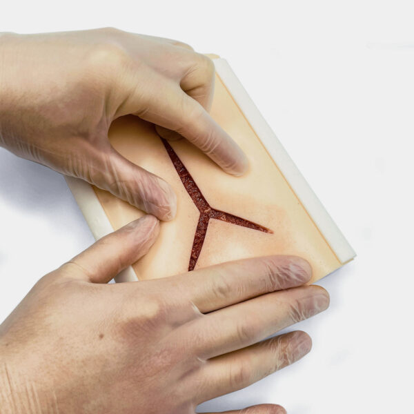 Piel avanzada con 1 herida