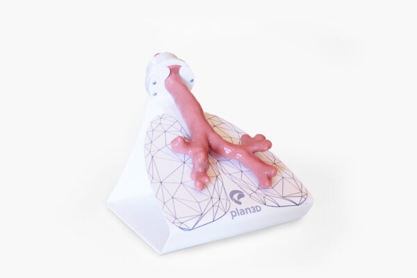 Simulador de Broncoscopía