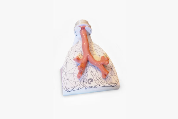 Simulador de Broncoscopía