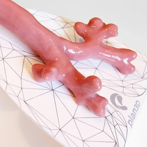 simulador-broncoscopia-03-_1_.webp Simulador de Broncoscopía