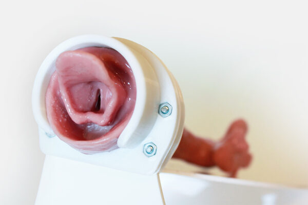 Simulador de Broncoscopía