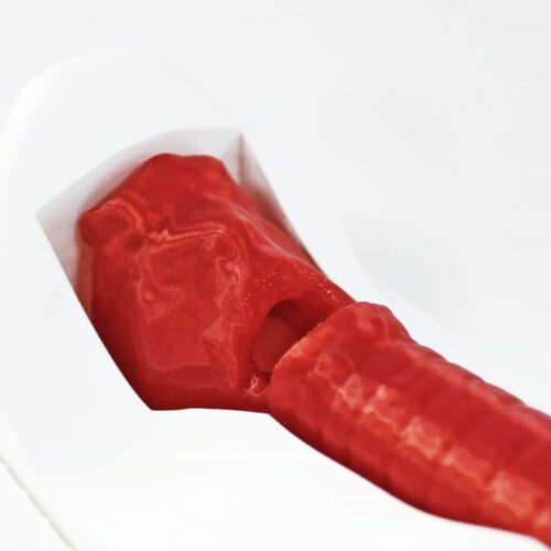 simulador-crico-01.jpeg Simulador Cricotiroidotomía Básico