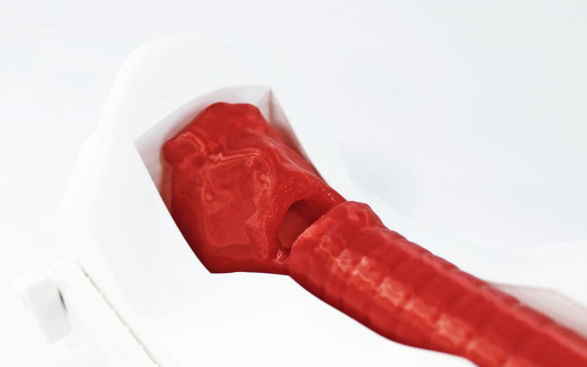 Simulador Cricotiroidotomía Básico