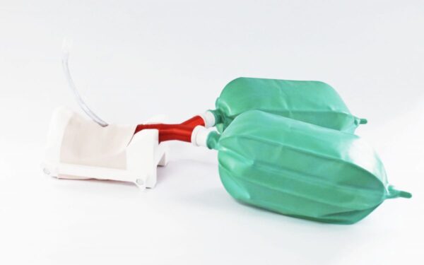 Simulador Cricotiroidotomía Básico