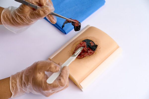 simulador-ulcera-04.jpeg 10 Repuestos de Úlcera por Presión