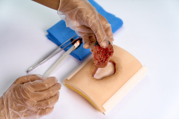 simulador-ulcera-05.jpeg 10 Repuestos de Úlcera por Presión