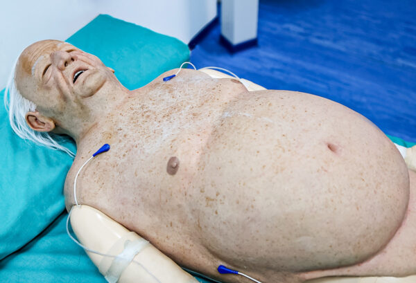 Cubiertas Hiperrealistas - Bob