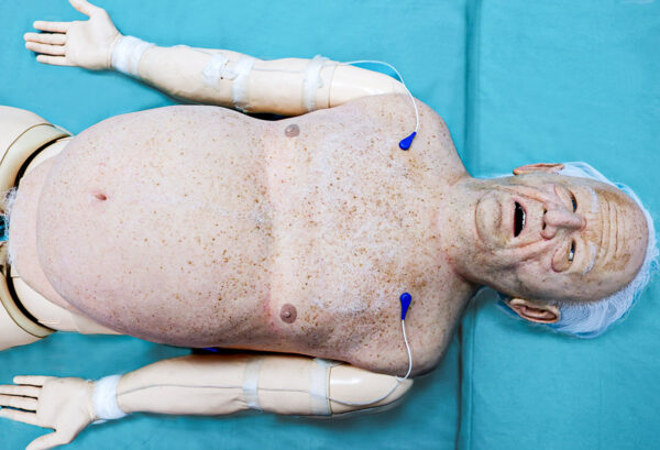 Cubiertas Hiperrealistas - Bob