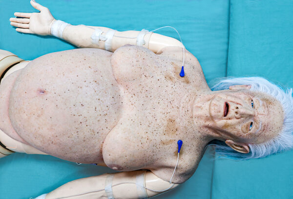 Cubiertas Hiperrealistas - Esther