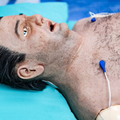 Cubiertas Hiperrealistas - Paul