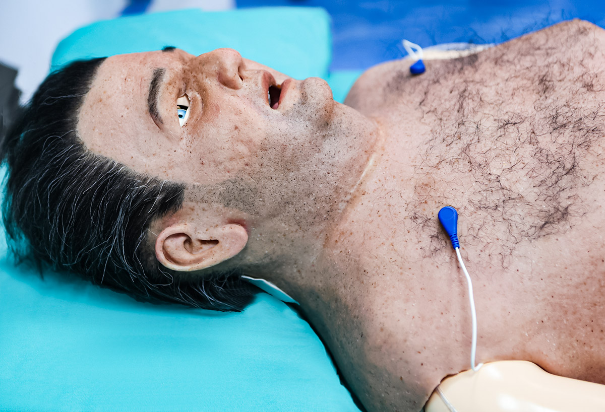 Paul_03 Cubiertas Hiperrealistas - Paul