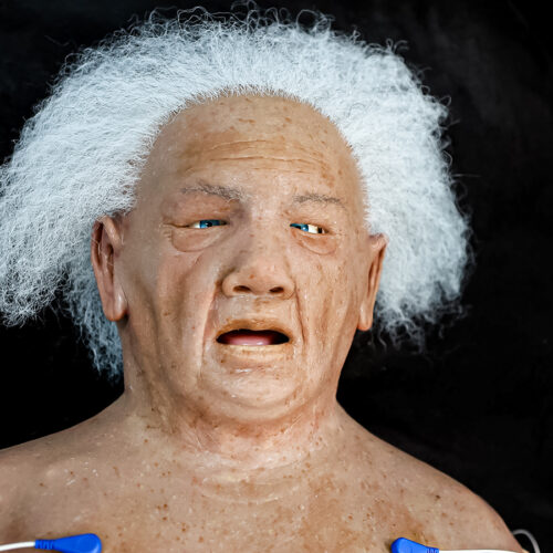 Cubiertas Hiperrealistas - Dorothy