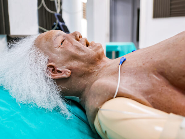 dorothy_04 Cubiertas Hiperrealistas - Dorothy