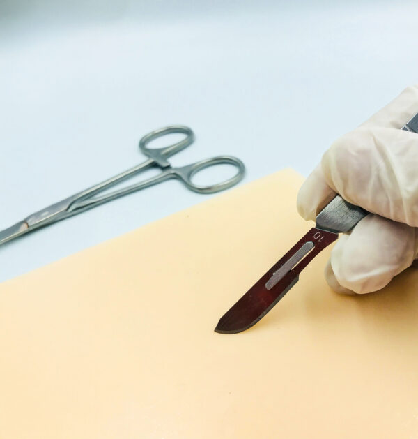 Piel básica para sutura