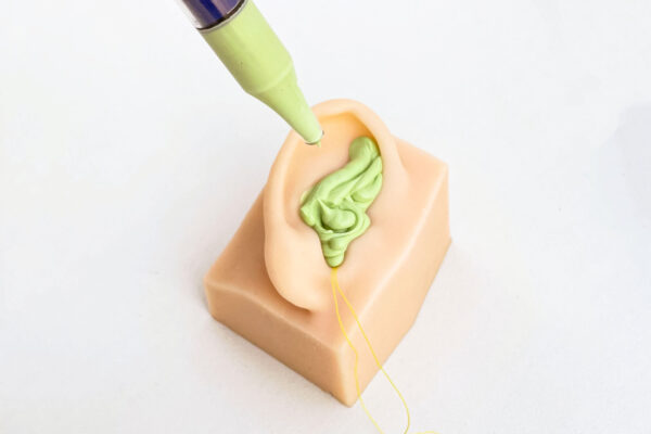 Conducto auditivo externo - Derecha