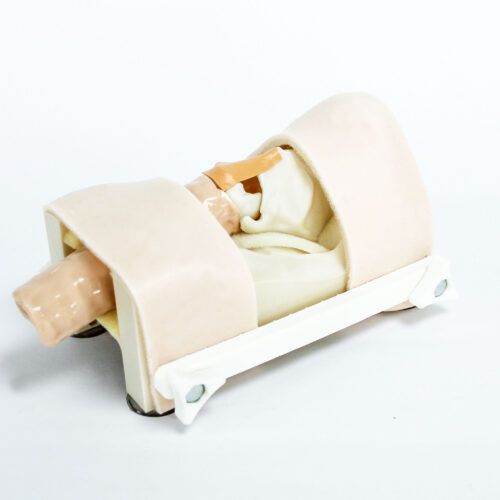 Simulador de cricotiroidotomía avanzado