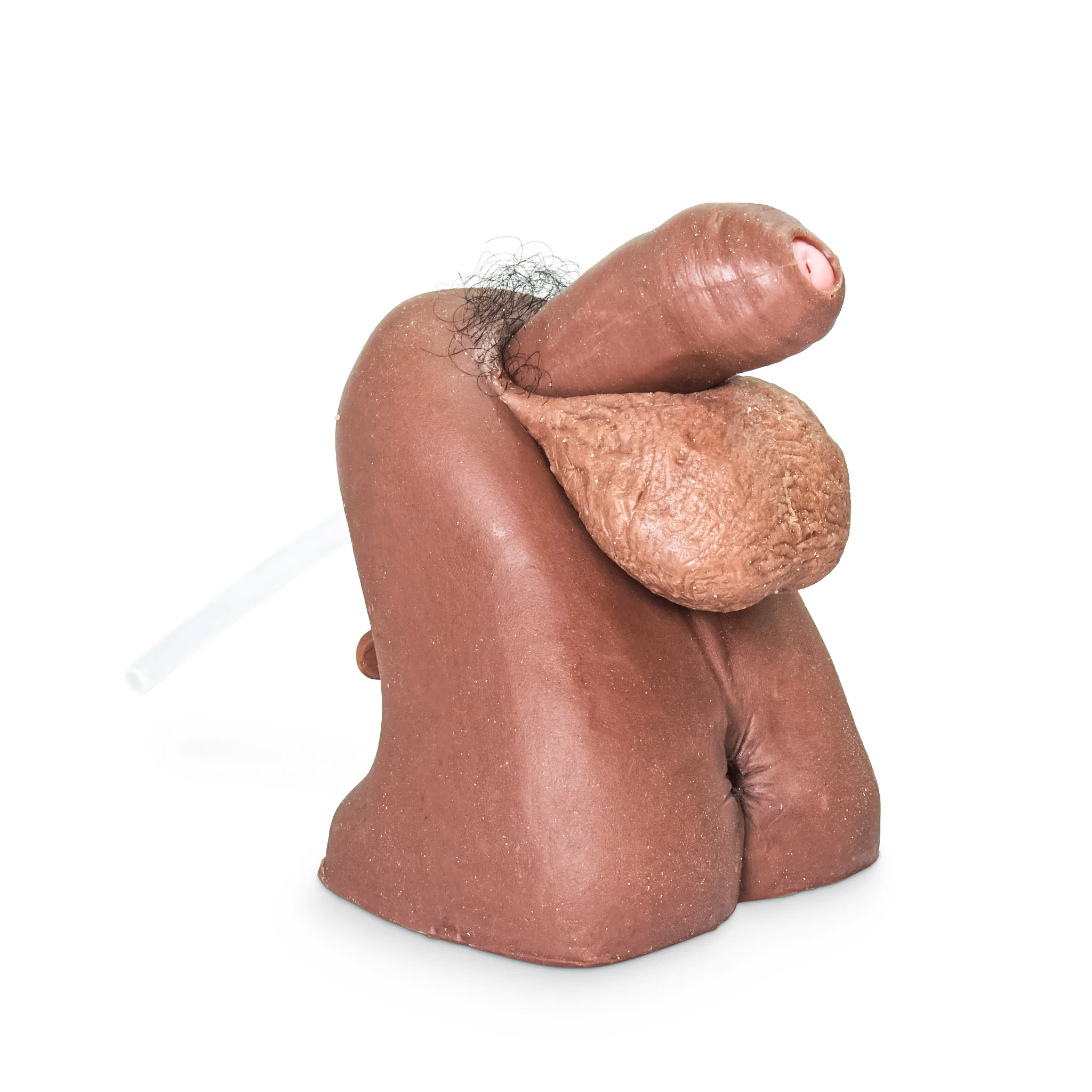 Simulador Genitales Masculinos