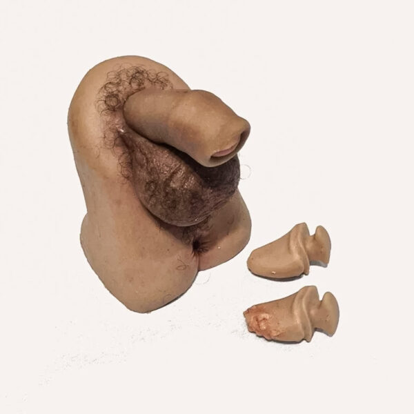 Simulador Genitales Masculinos