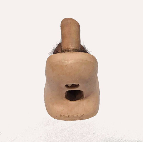 Simulador Genitales Masculinos