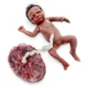 Baby Lulu - Bebé prematuro de parto