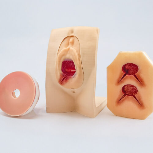 Epiflex-01 Epiflex