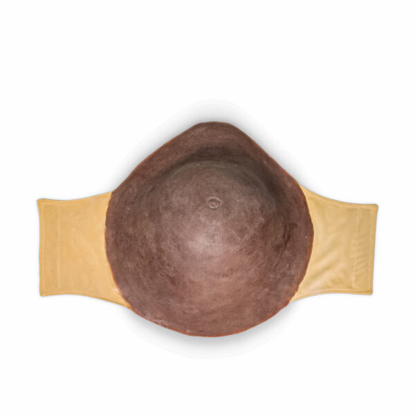 abdomen_embarazo 01 Abdomen de Embarazo Básico para Maniquí y Paciente Estandarizado