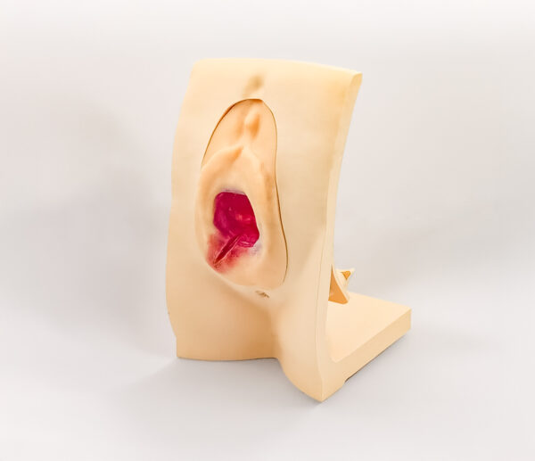 Epiflex-09B Epiflex