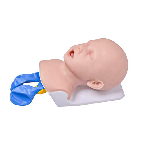 Simulador de Intubación Neonatal